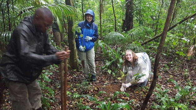 CC Students planting trees in Brazil