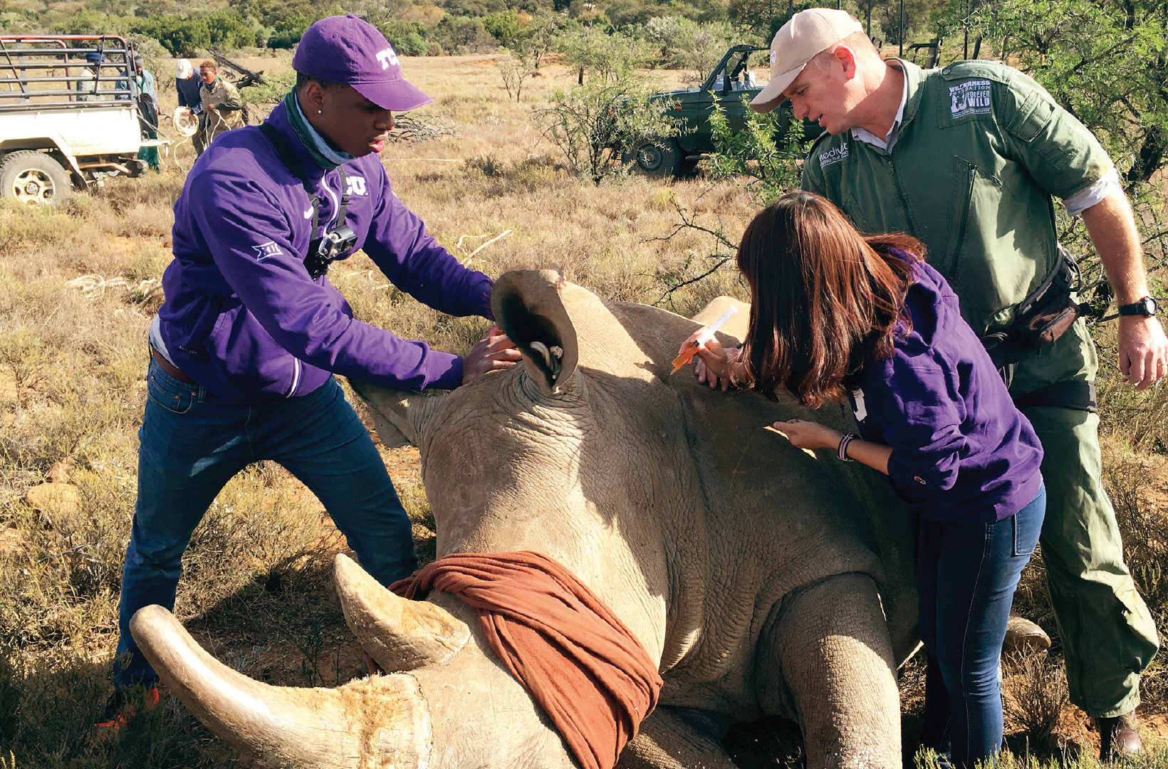 ITC 2017 Texas Christian Rhino Dehorning