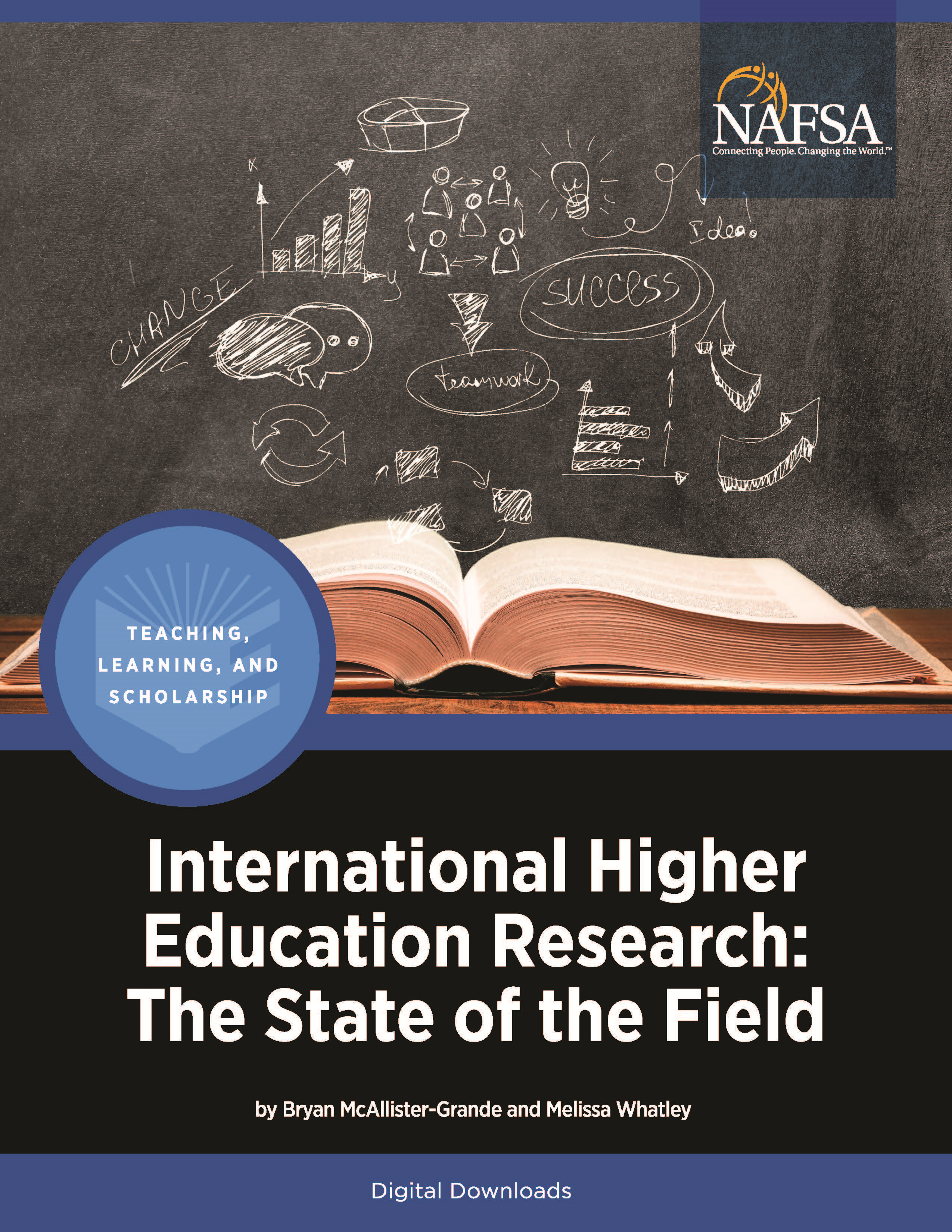 International Higher Education Research: State of the Field