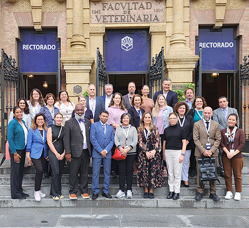 Study in Spain Group