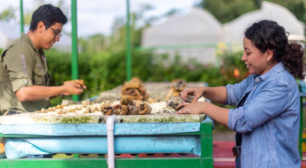Photo of two students outside.