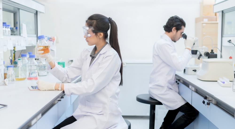 two scientists working in a lab