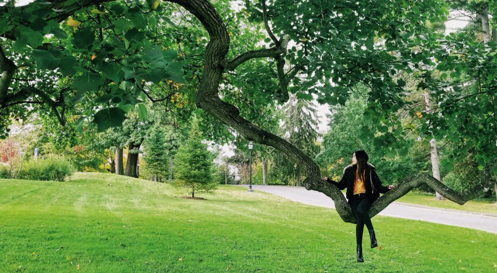 Photo of a student sitting on a brach of a tree