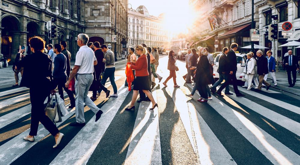 Vienna crosswalk