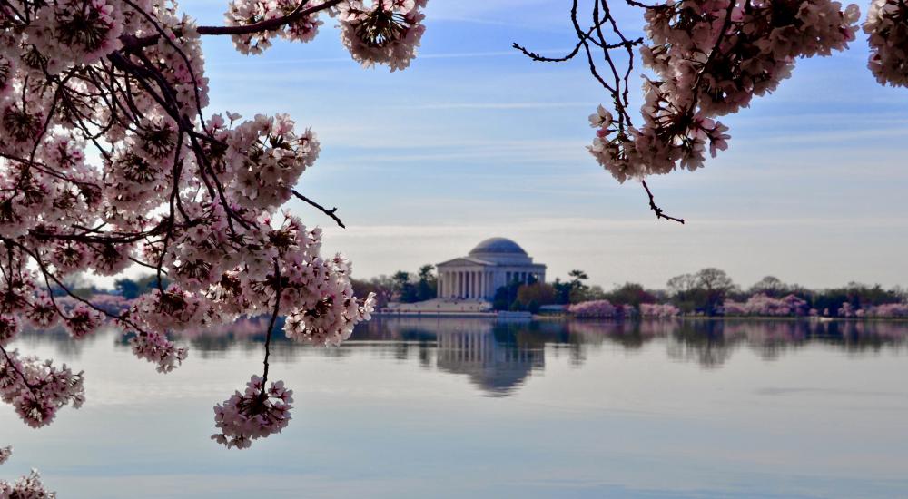 Jefferson Memorial