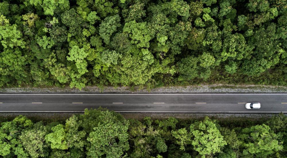 ariel view of a car driving on a street through a forest
