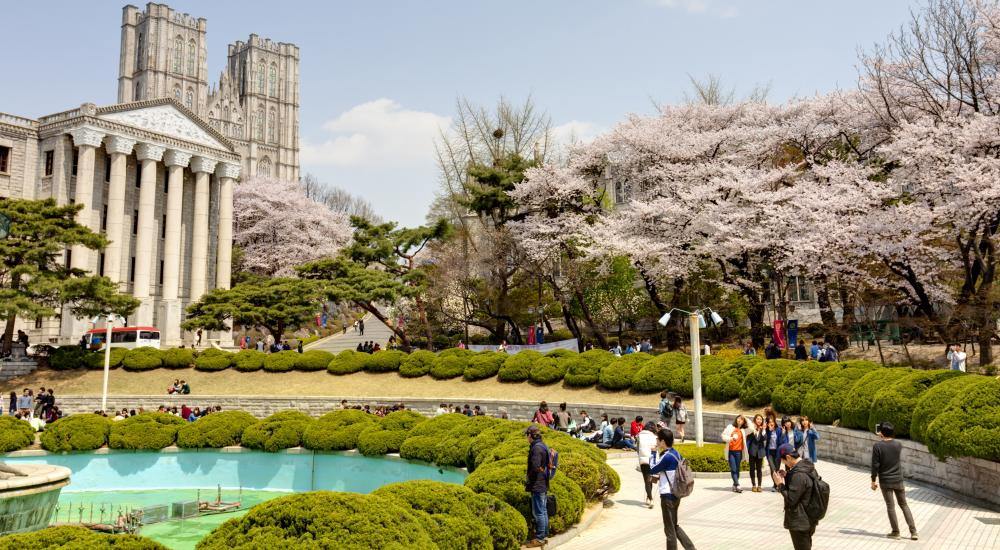 a university campus in South Korea