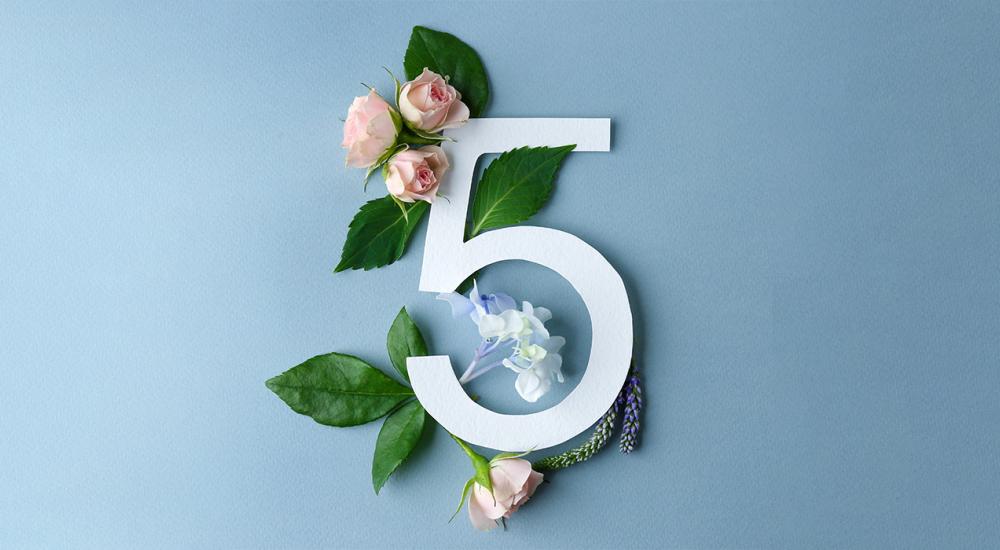 numeral five against blue background with florals