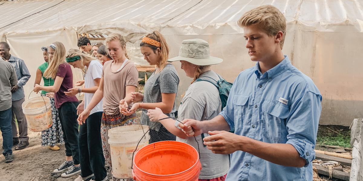 students sort cocoa beans