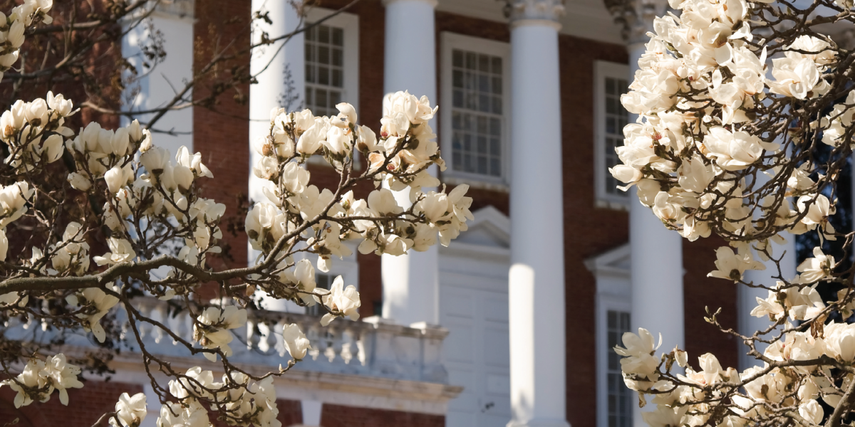 ITC 2015 Virginia Banner