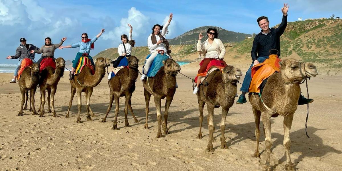 A group of students riding camels.