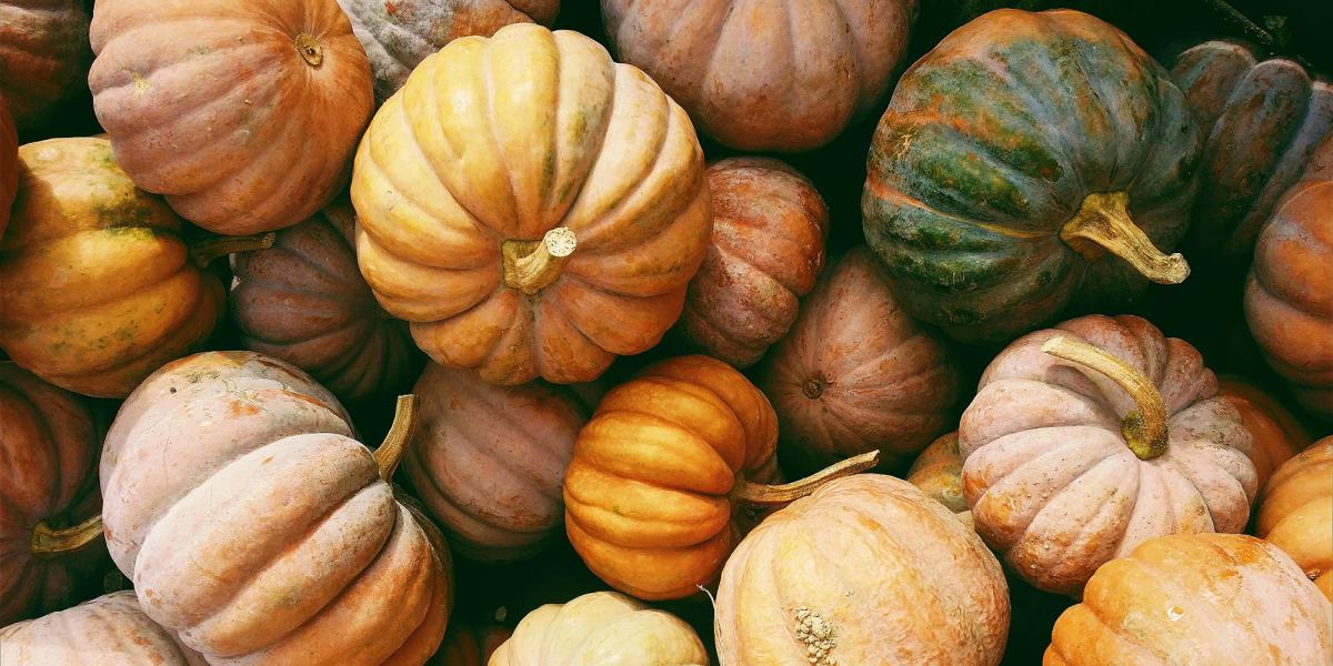 closeup of pumpkins of different sizes and colors