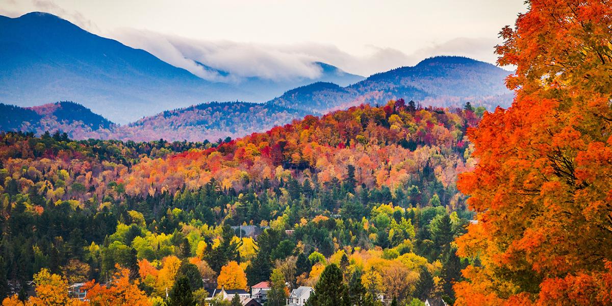 New England header