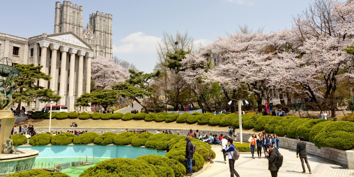 a university campus in South Korea