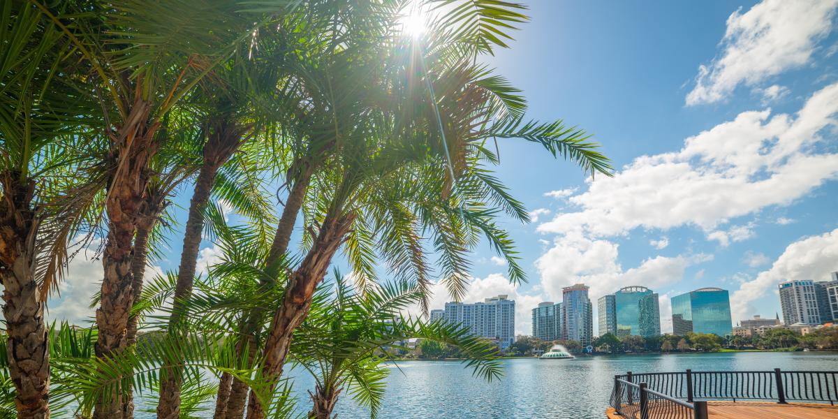Photo of the Orlando skyline with a palm tree