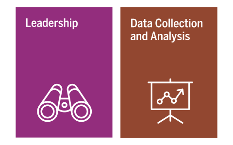 Leadership and data collection and analysis graphic