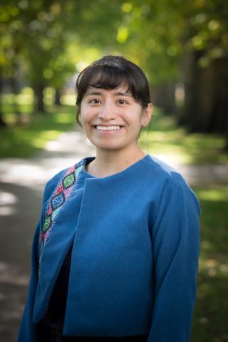 hazara leon against a green background of trees