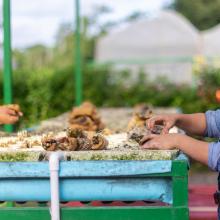 Photo of two students outside.