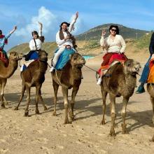 A group of students riding camels.
