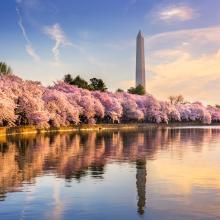 DC Tidal Basin