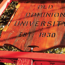 dominion board