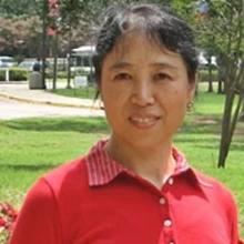 Jin Zhang
