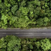 ariel view of a car driving on a street through a forest