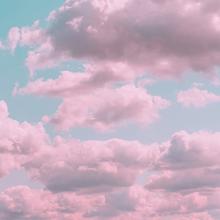 Pink clouds against a blue sky