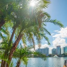 Photo of the Orlando skyline with a palm tree