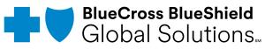 Blue Cross Blue Shield Global Solutions