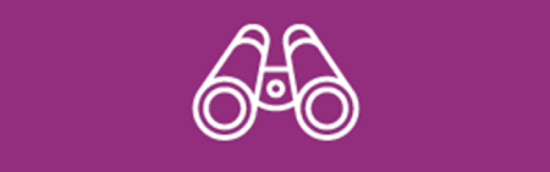 Leadership Icon of Binoculars